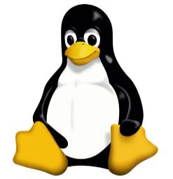 Linux系统运行